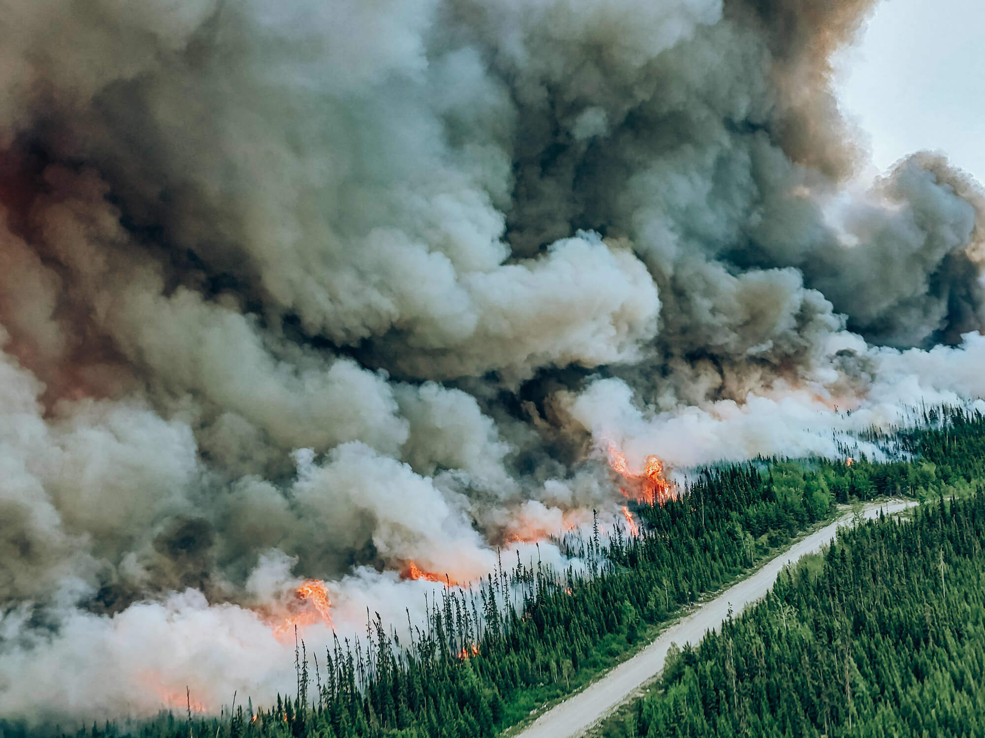 Een zomer van extremen: als hitte, wind en klimaat­verandering samenkomen